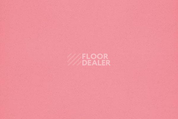 Линолеум FORBO Eternal Colour 40372 flamingo фото 1 | FLOORDEALER
